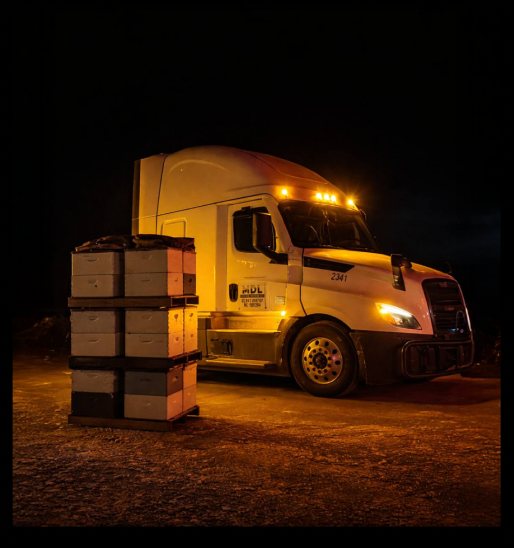 Bee Transportation